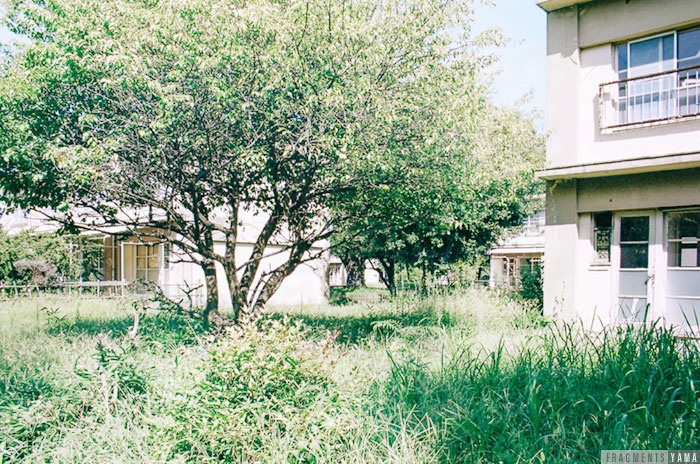 ひばりが丘団地のテラスハウス