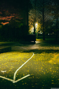 細道の奥から白い矢印が手前に向かって描かれている