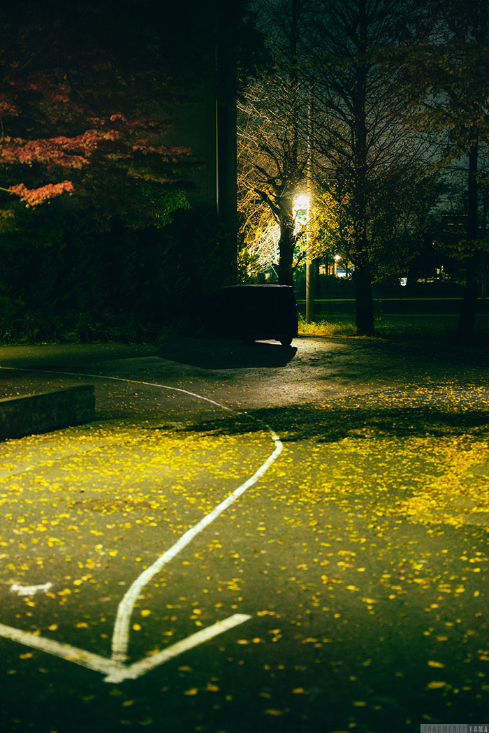 細道の奥から白い矢印が手前に向かって描かれている