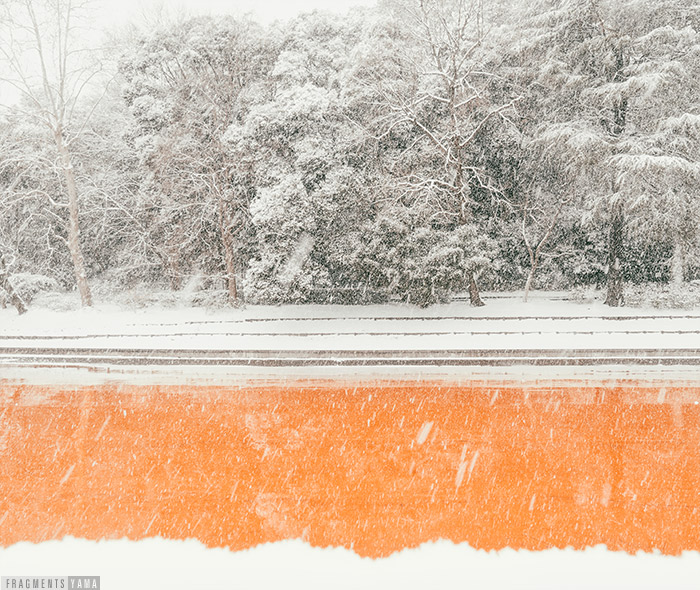 横長の写真。手前に雪、その上にオレンジ色、その上に雪の積もった樹木。雪が降っている。